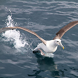 New Zealand Stewart Island